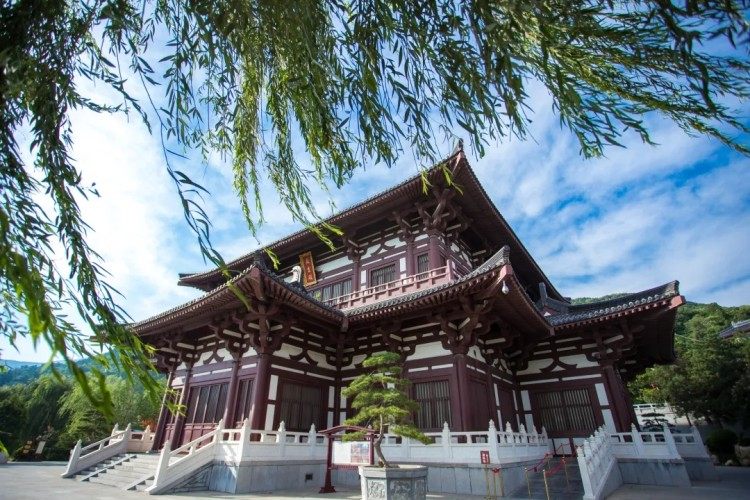 亚洲杯